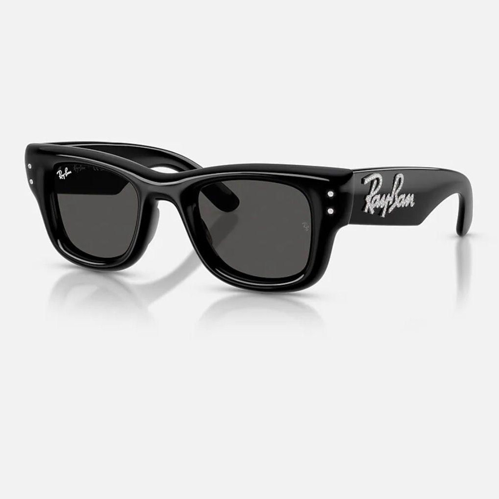RAY-BAN SUNGLASSES 105