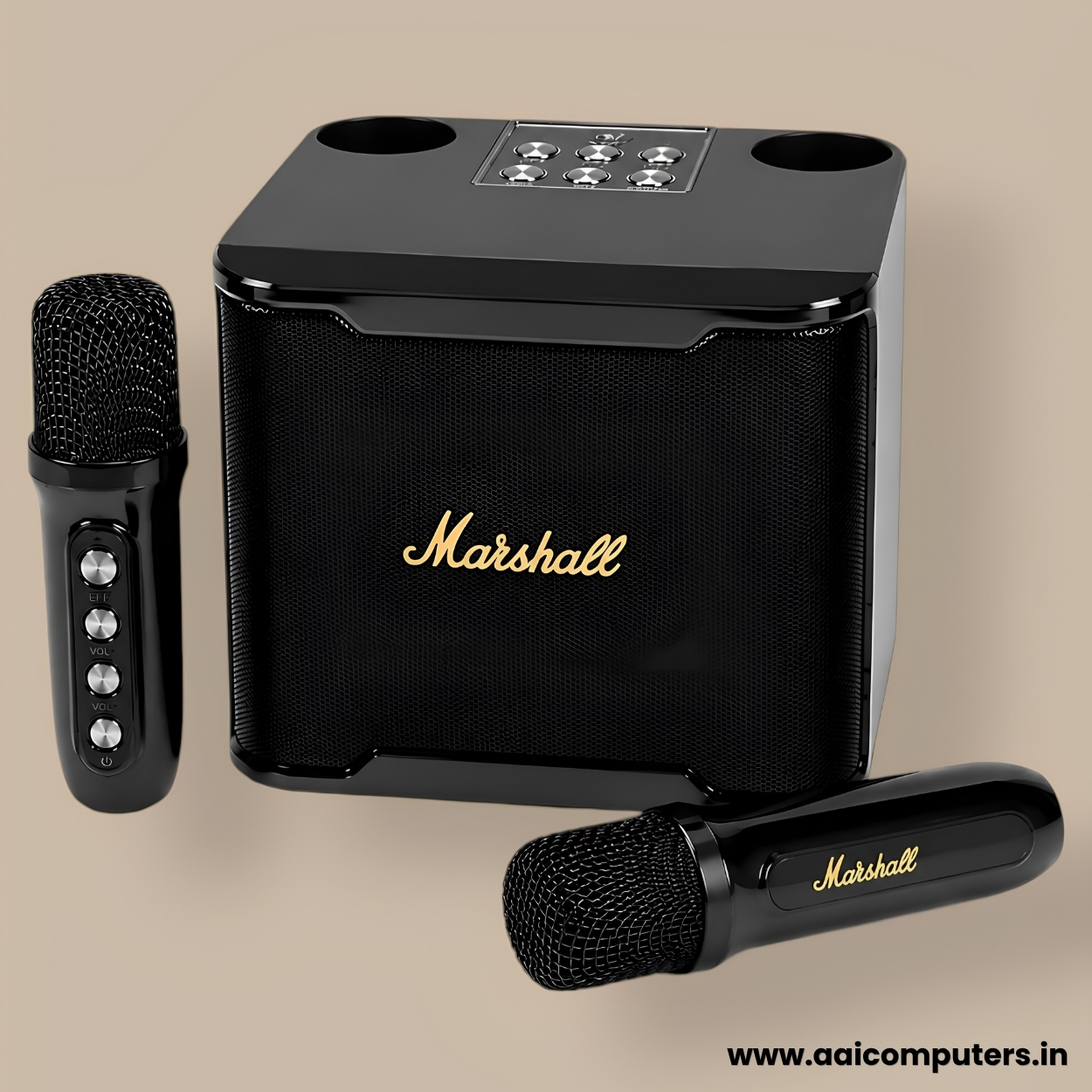 Marshall Karaoke Speaker