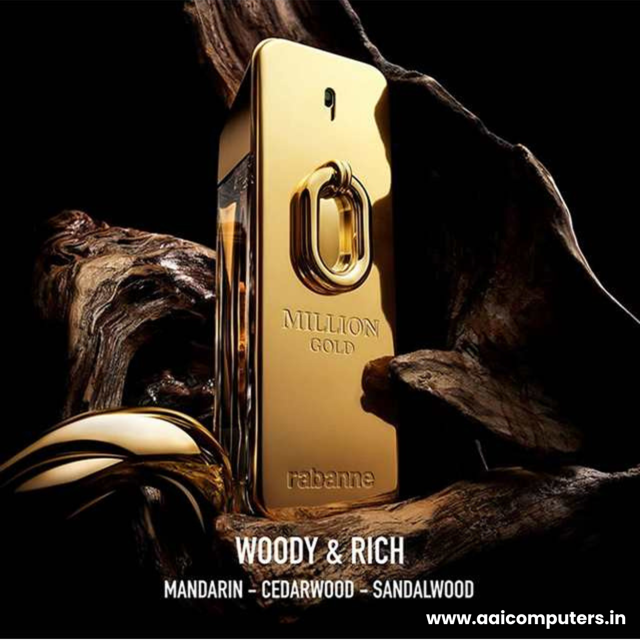 Rabanne Million Gold Eau de Parfum Luxury Perfume for Men